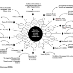 Oval empirical literature summary diagram