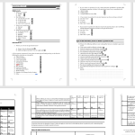 Questionnaire 2